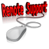 Remote Clinical System Services Development - Hourly Rate